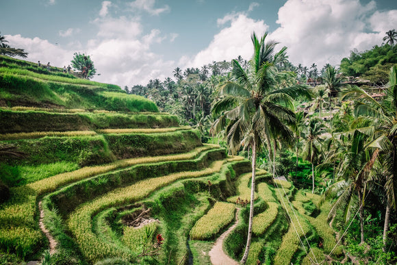 5 Fun Facts About Bali