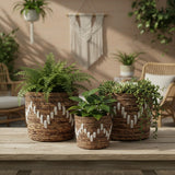 Banana Leaf & Macrame ZigZag Planter Basket