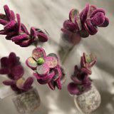 Felt Purple Plant