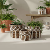 Set of macrame plant hangers with plants in a home setting