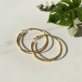 Gold hoop earrings on a light surface with green leaves in the background